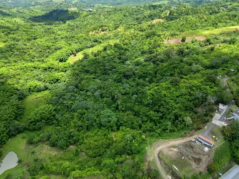 436 Km 1.8 Interior Sector Jesús Beltrán Lares PR 00669