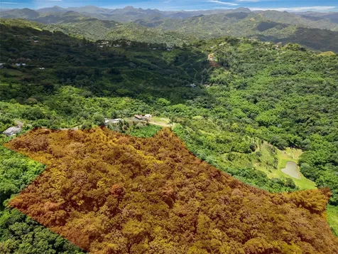 436 Km 1.8 Interior Sector Jesús Beltrán Lares PR 00669