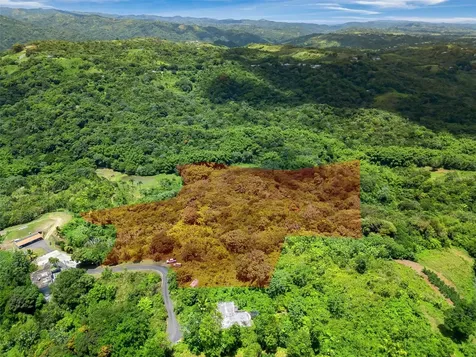 436 Km 1.8 Interior Sector Jesús Beltrán Lares PR 00669