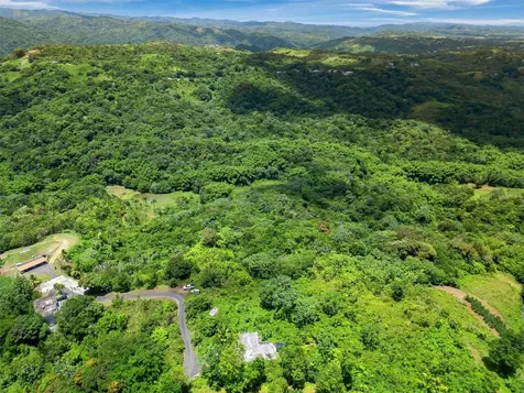 436 Km 1.8 Interior Sector Jesús Beltrán Lares PR 00669