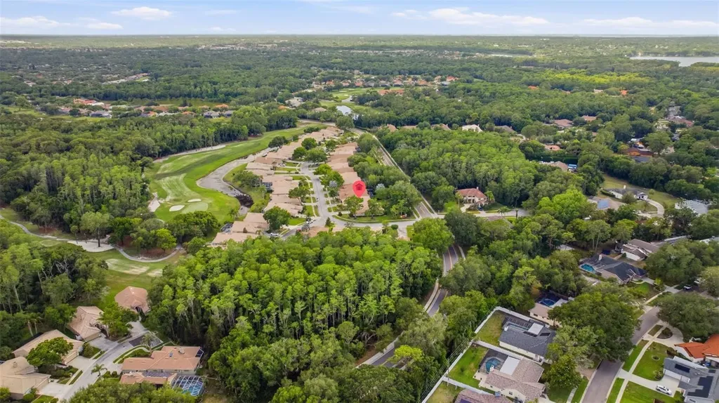 5163 Pinnacle Drive Oldsmar FL 34677