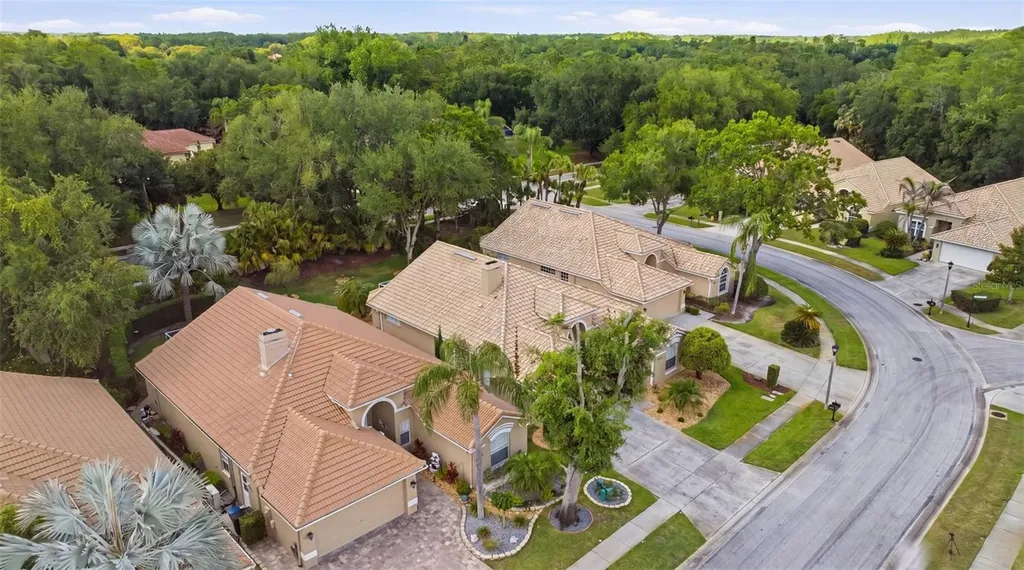 5163 Pinnacle Drive Oldsmar FL 34677