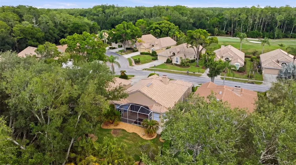 5163 Pinnacle Drive Oldsmar FL 34677