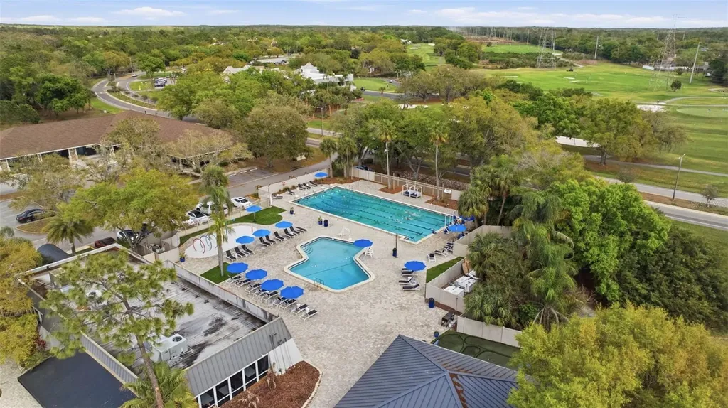 5163 Pinnacle Drive Oldsmar FL 34677
