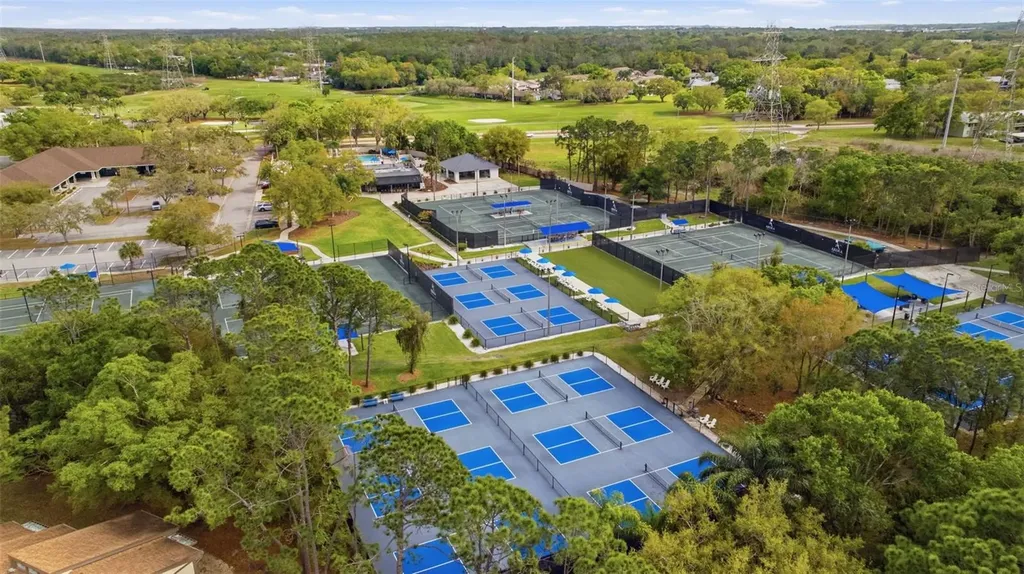 5163 Pinnacle Drive Oldsmar FL 34677
