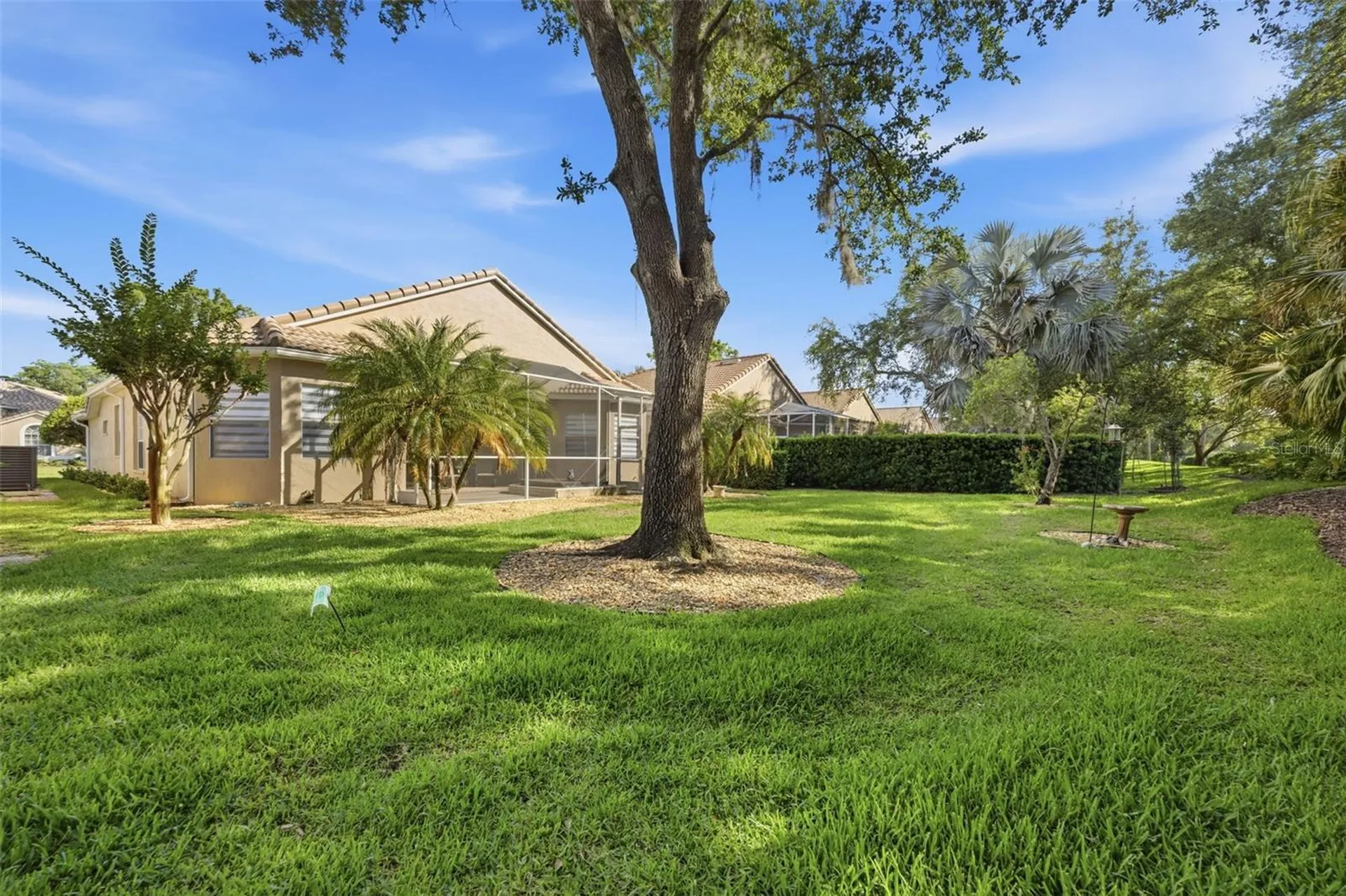 5163 Pinnacle Drive Oldsmar FL 34677