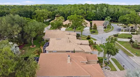 5163 Pinnacle Drive Oldsmar FL 34677