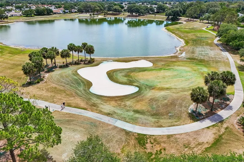 1148 Chaparral Drive The Villages FL 32159
