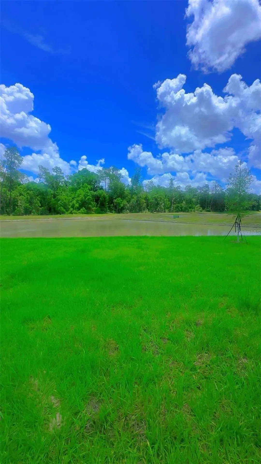 8451 Madrid Street Lakeland FL 33810