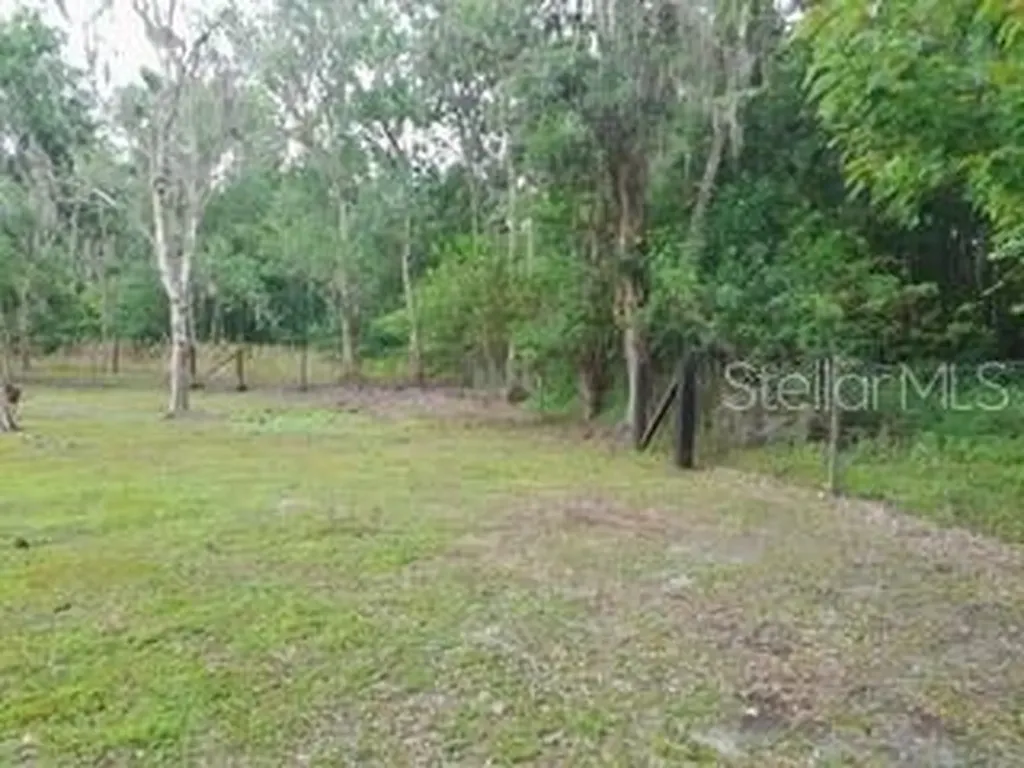 10034 Burton Street New Port Richey FL 34654