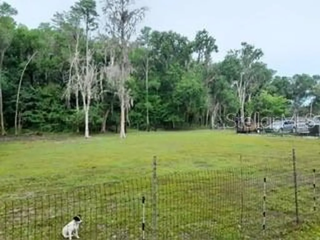 10034 Burton Street New Port Richey FL 34654