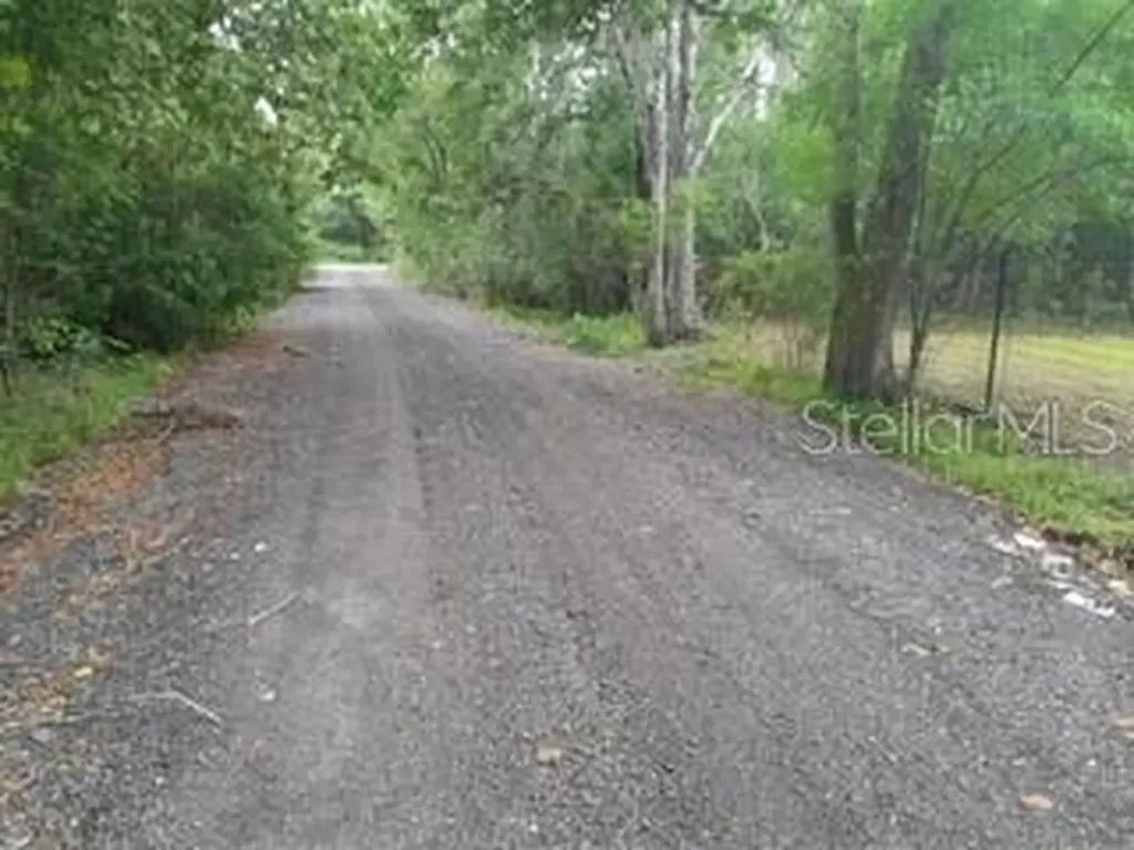 10034 Burton Street New Port Richey FL 34654