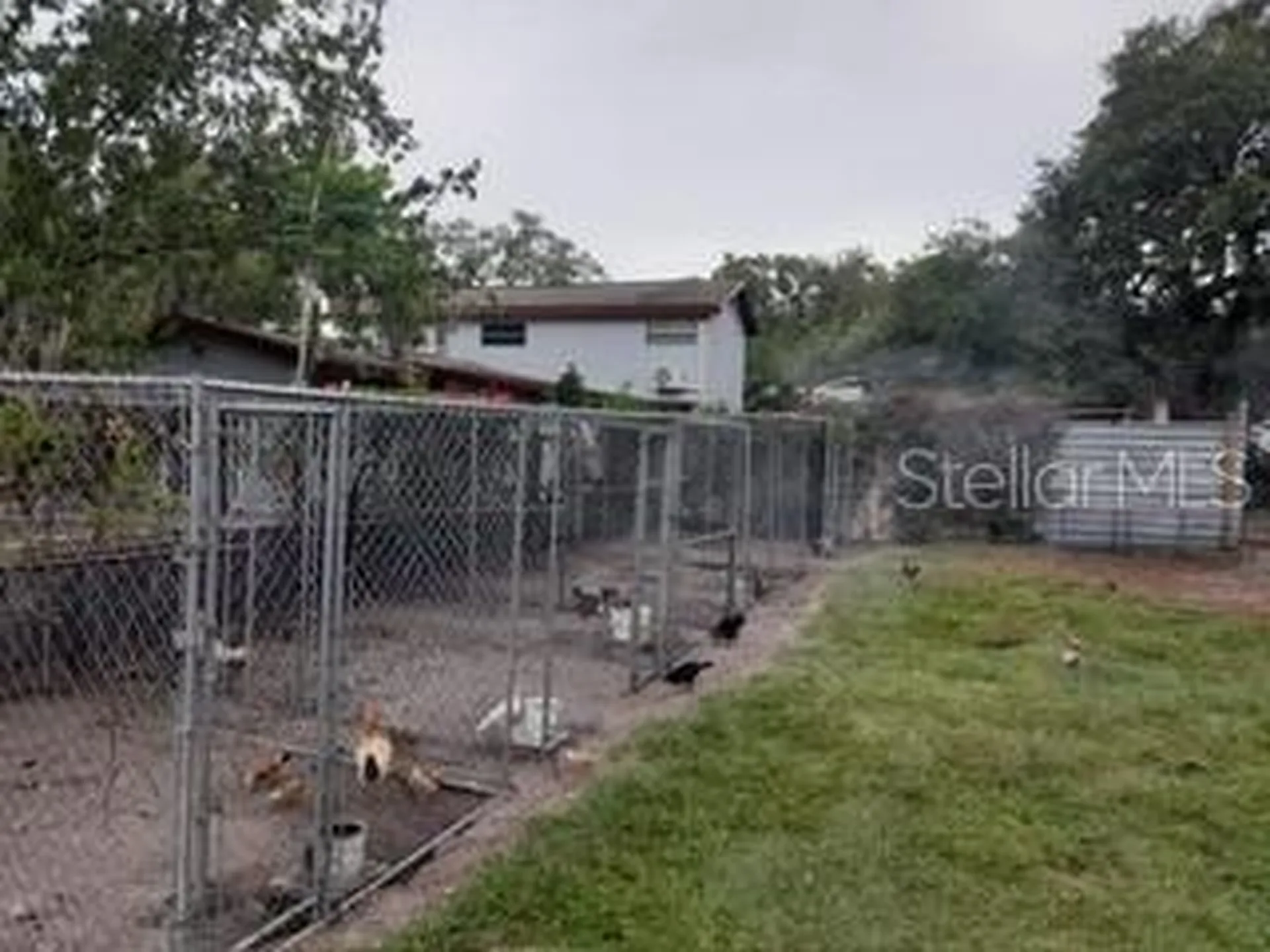 10034 Burton Street New Port Richey FL 34654