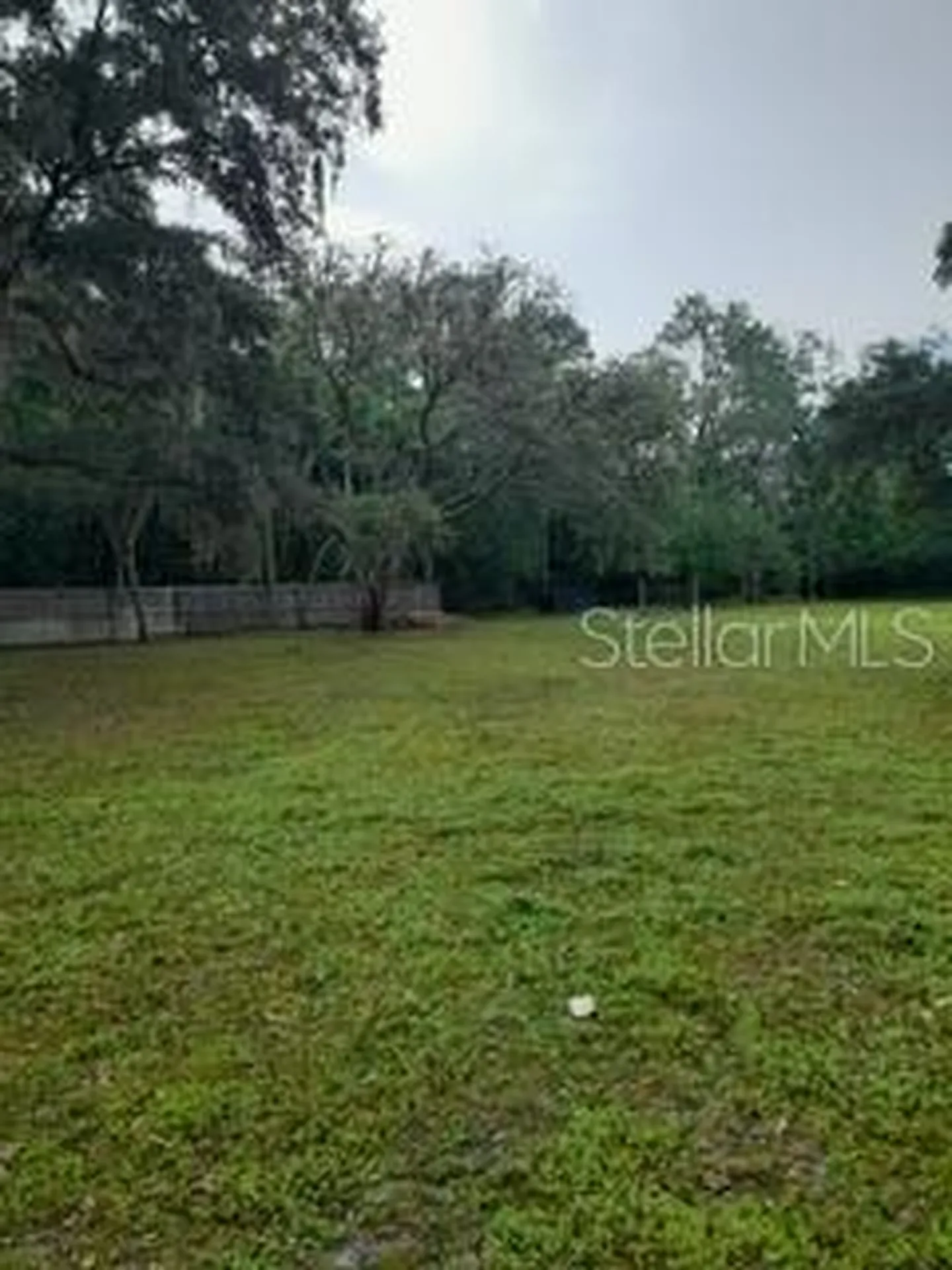 10034 Burton Street New Port Richey FL 34654