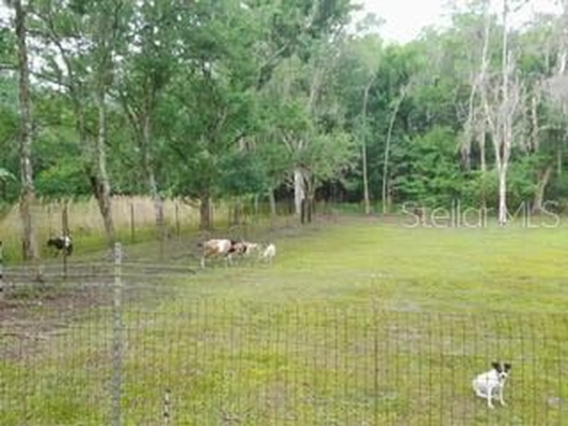 10034 Burton Street New Port Richey FL 34654