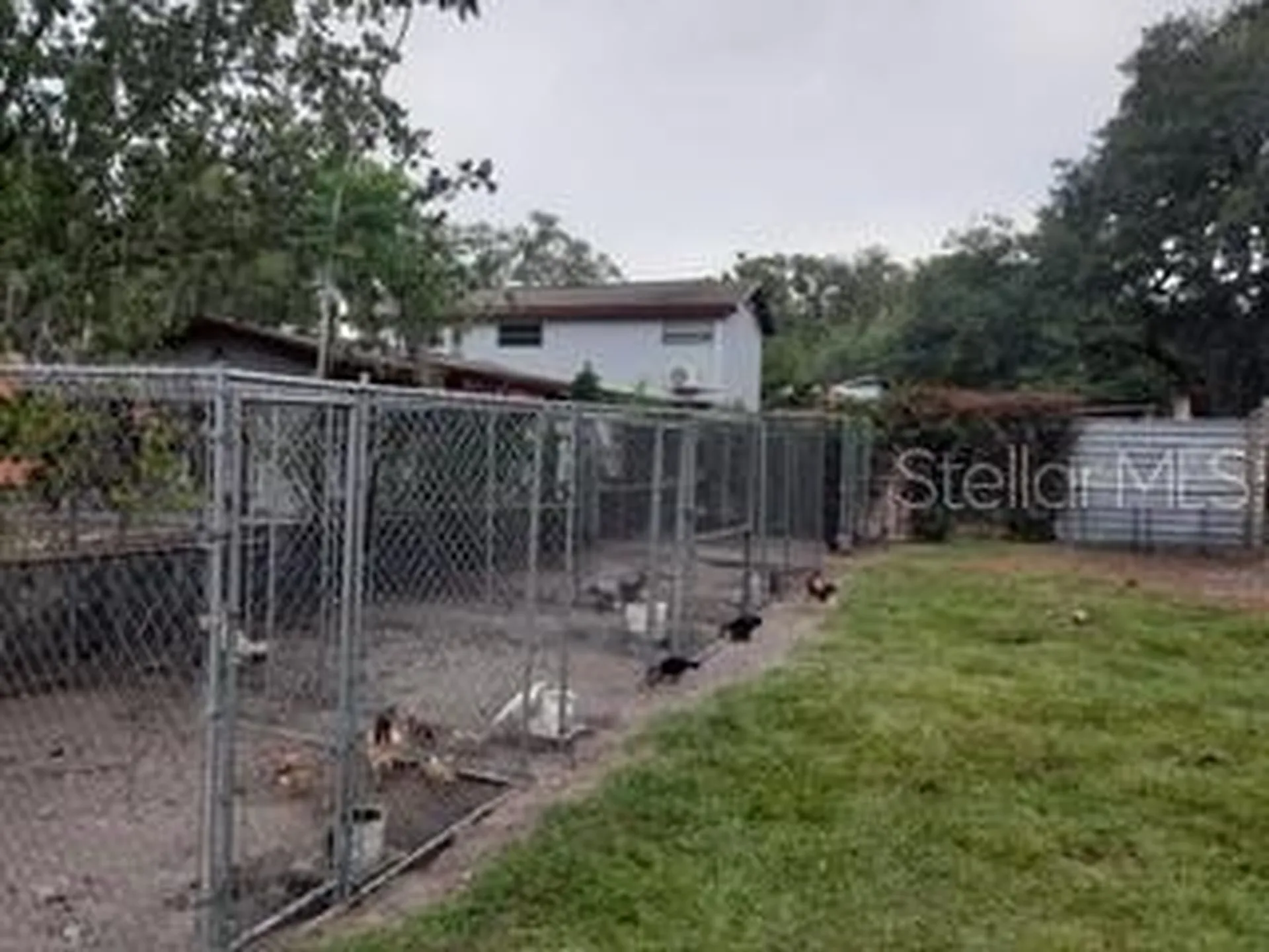10034 Burton Street New Port Richey FL 34654