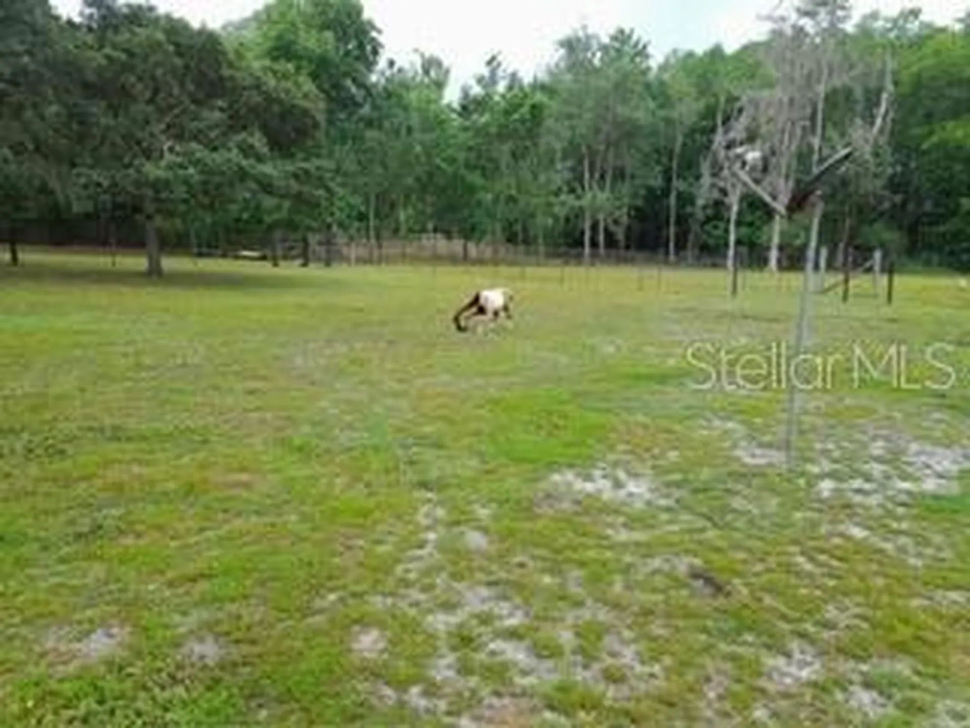 10034 Burton Street New Port Richey FL 34654