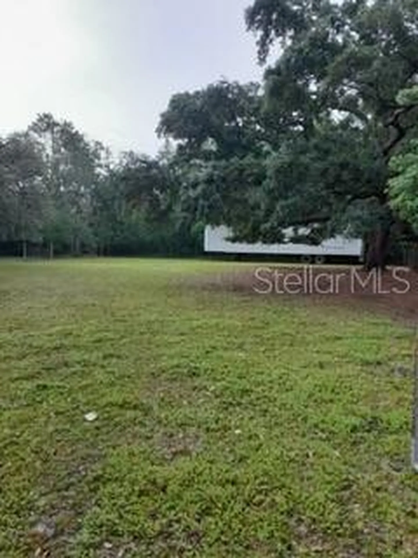 10034 Burton Street New Port Richey FL 34654