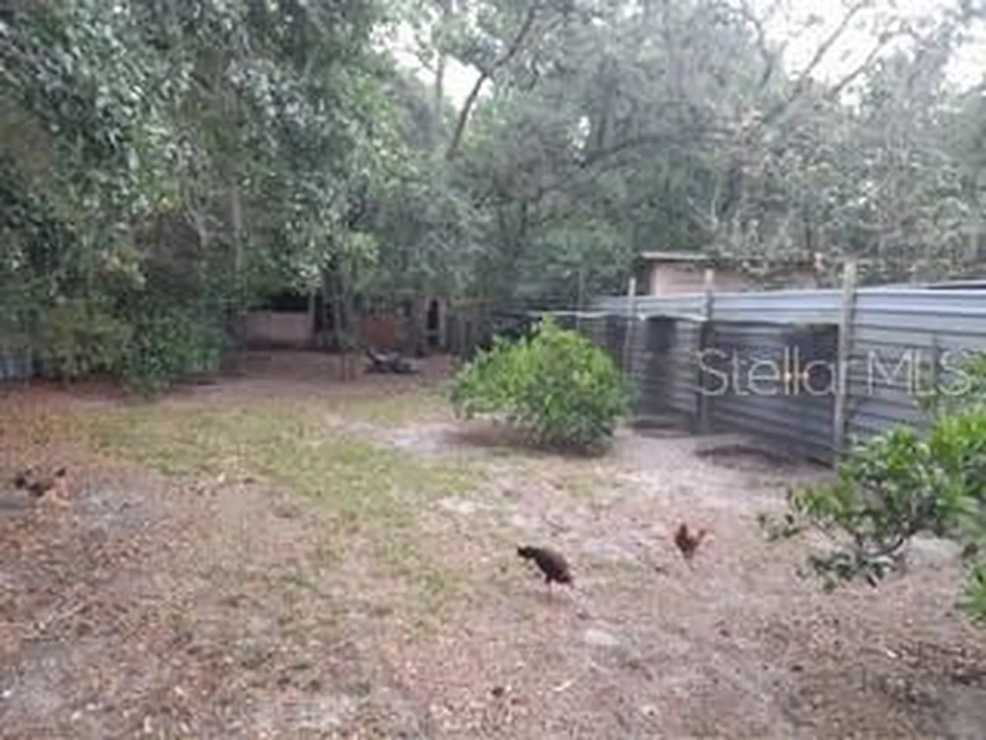 10034 Burton Street New Port Richey FL 34654
