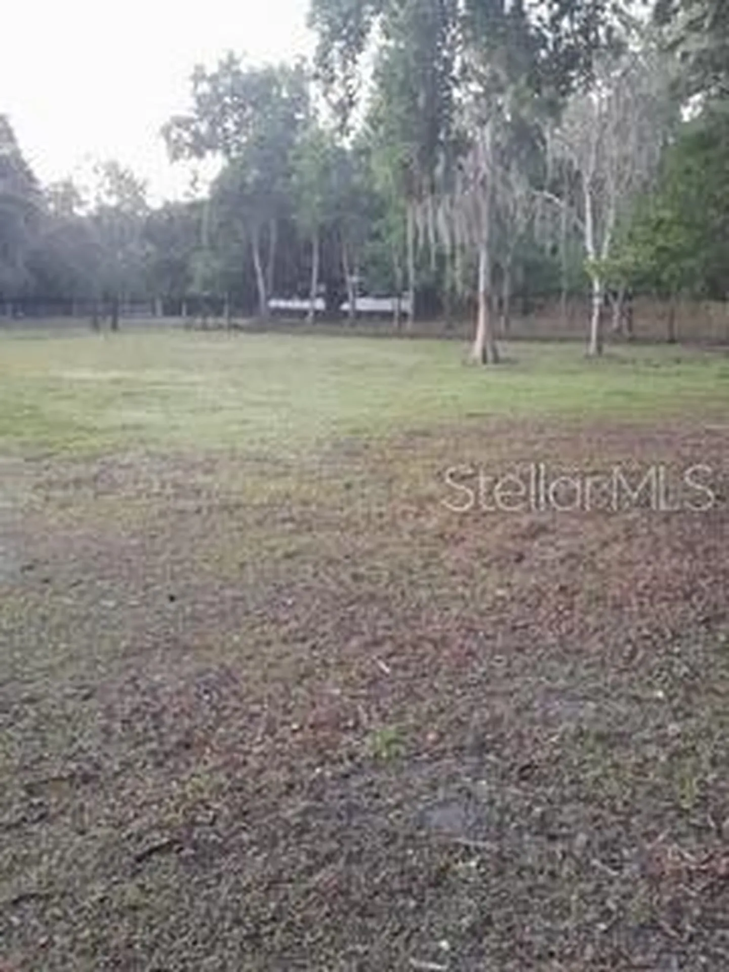 10034 Burton Street New Port Richey FL 34654
