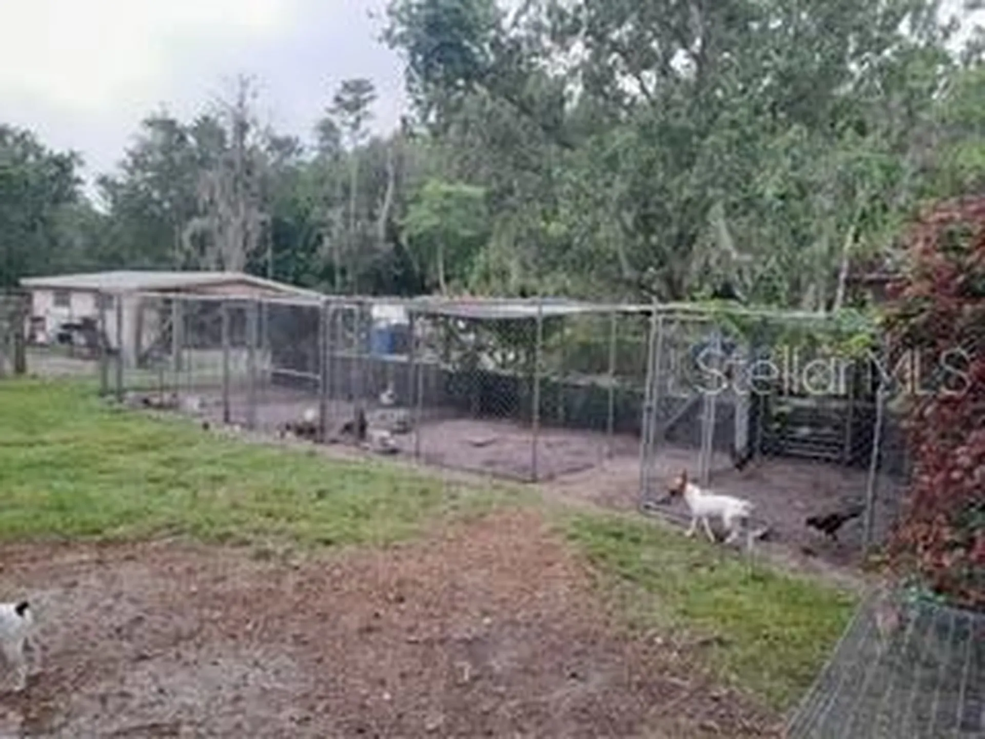 10034 Burton Street New Port Richey FL 34654