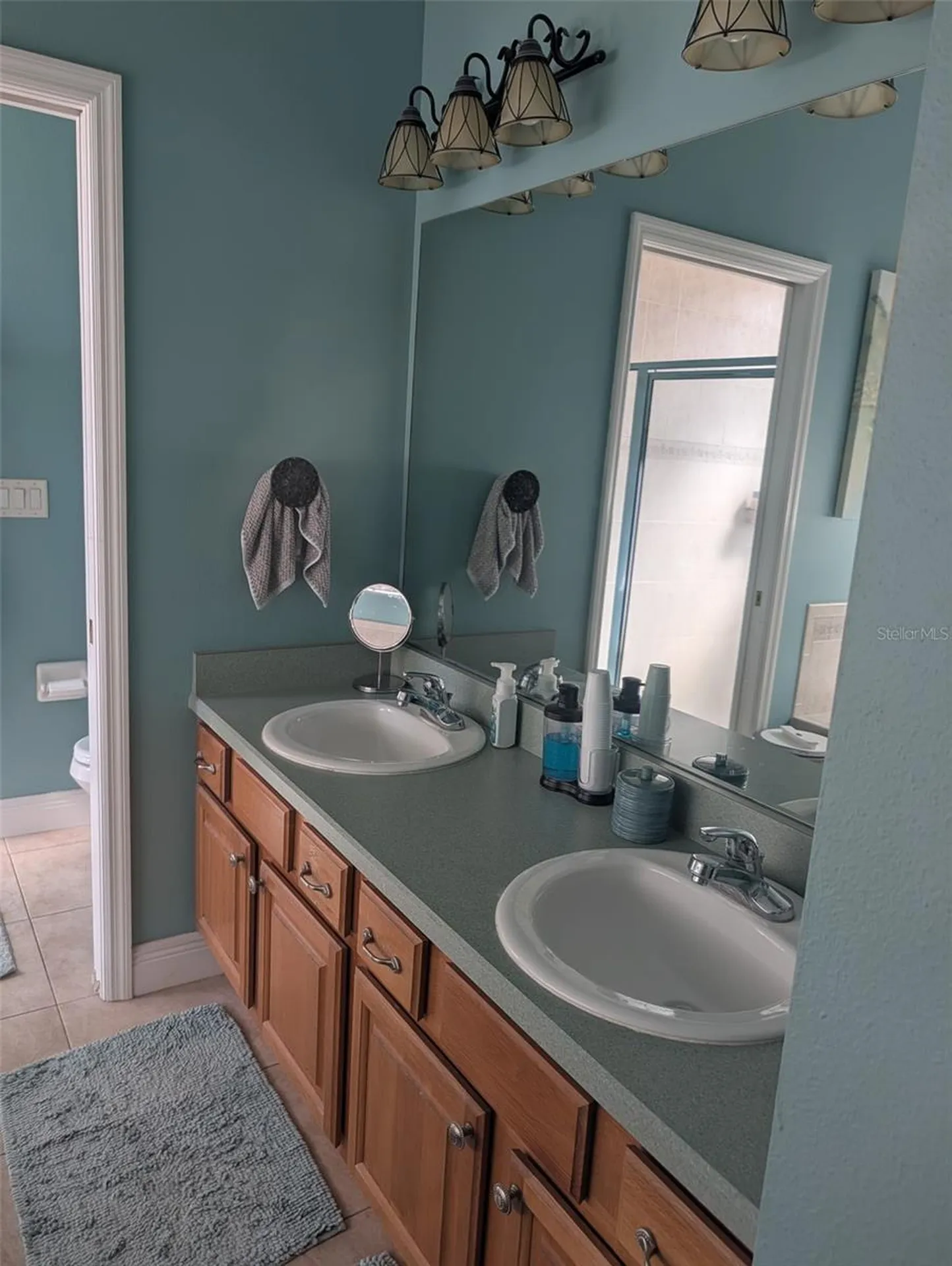 6028 Rolling Vista Loop Dover FL 33527