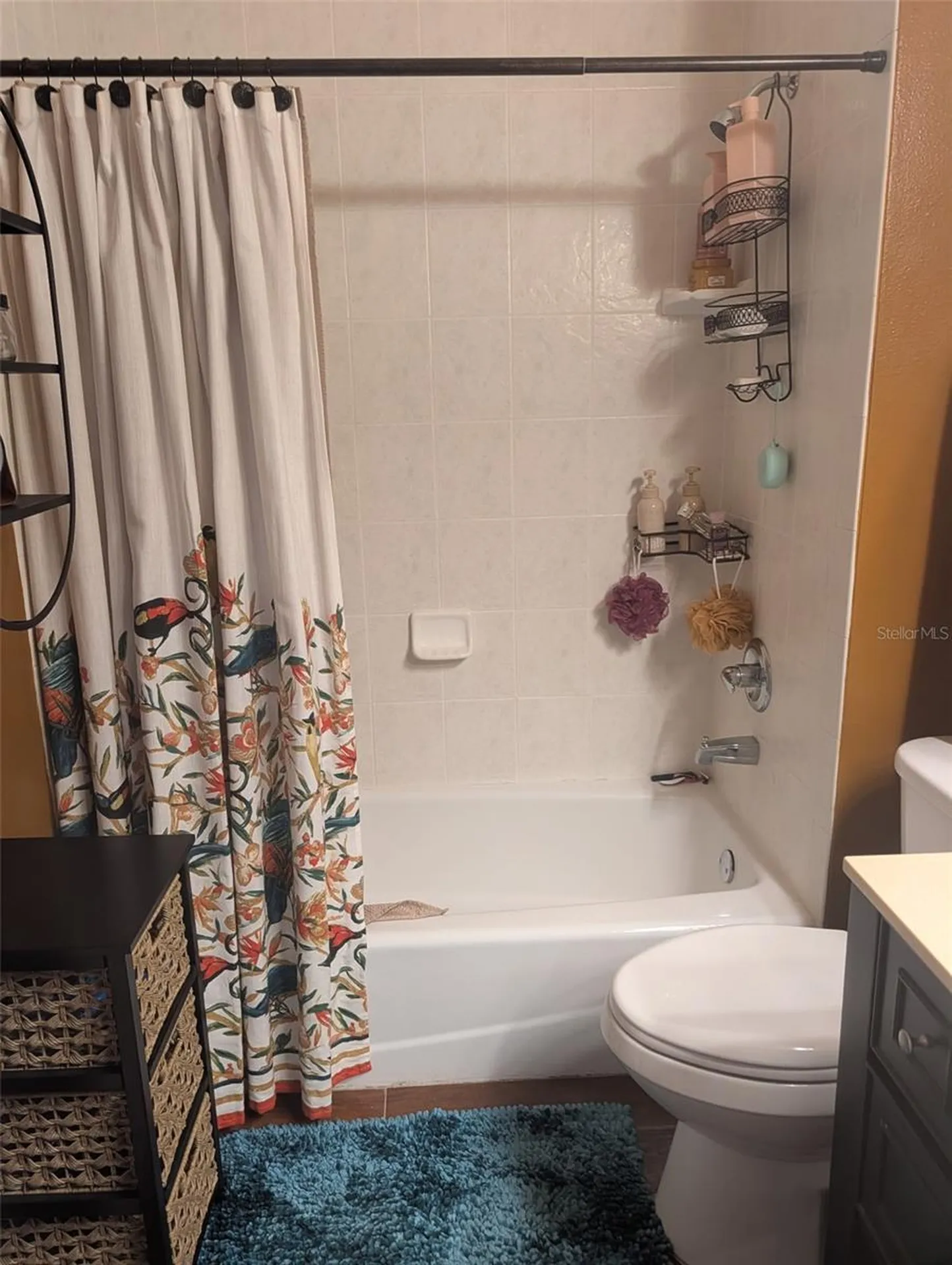 6028 Rolling Vista Loop Dover FL 33527
