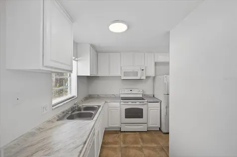 14024 Village Terrace Drive Tampa FL 33624
