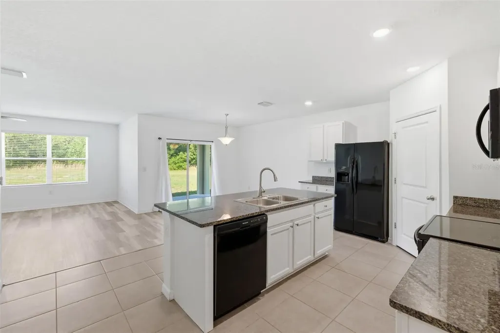 30685 Summer Sun Loop Wesley Chapel FL 33545