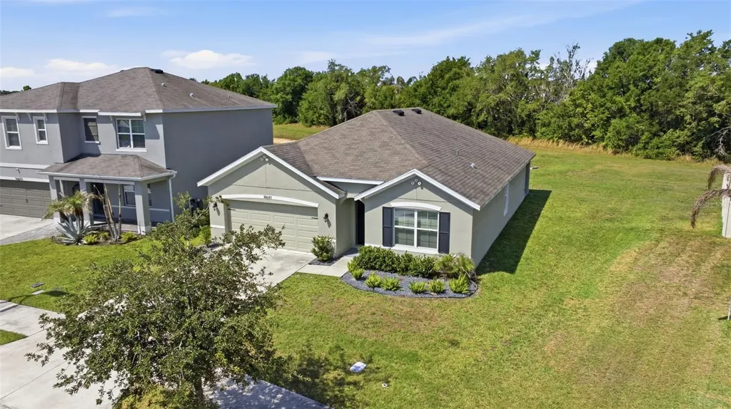 30685 Summer Sun Loop Wesley Chapel FL 33545