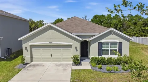 30685 Summer Sun Loop Wesley Chapel FL 33545