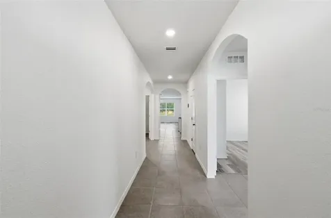 30685 Summer Sun Loop Wesley Chapel FL 33545