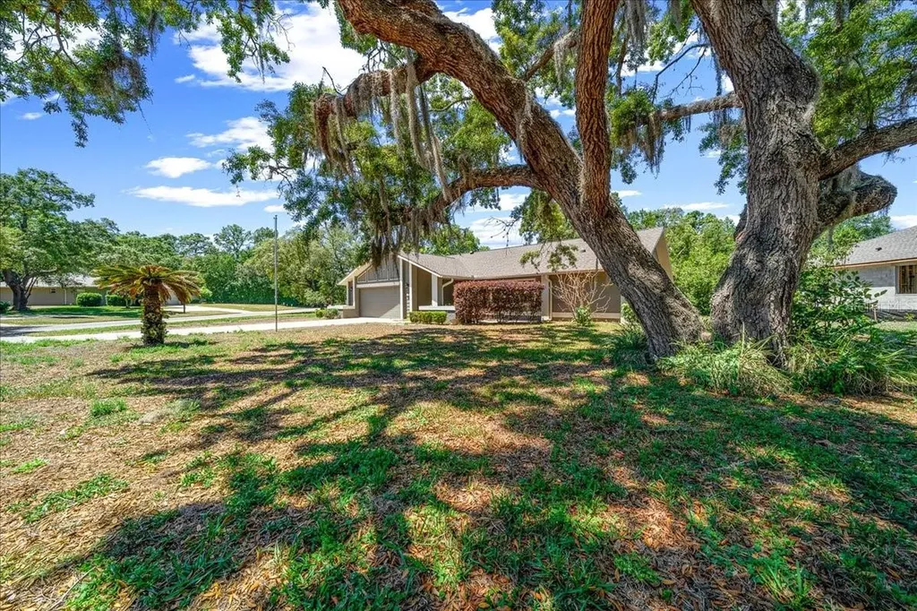 2 Canela Court Homosassa FL 34446