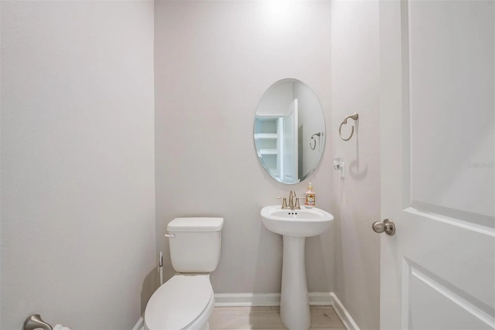 19153 Elsimont Isle Lutz FL 33558