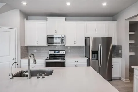 19153 Elsimont Isle Lutz FL 33558