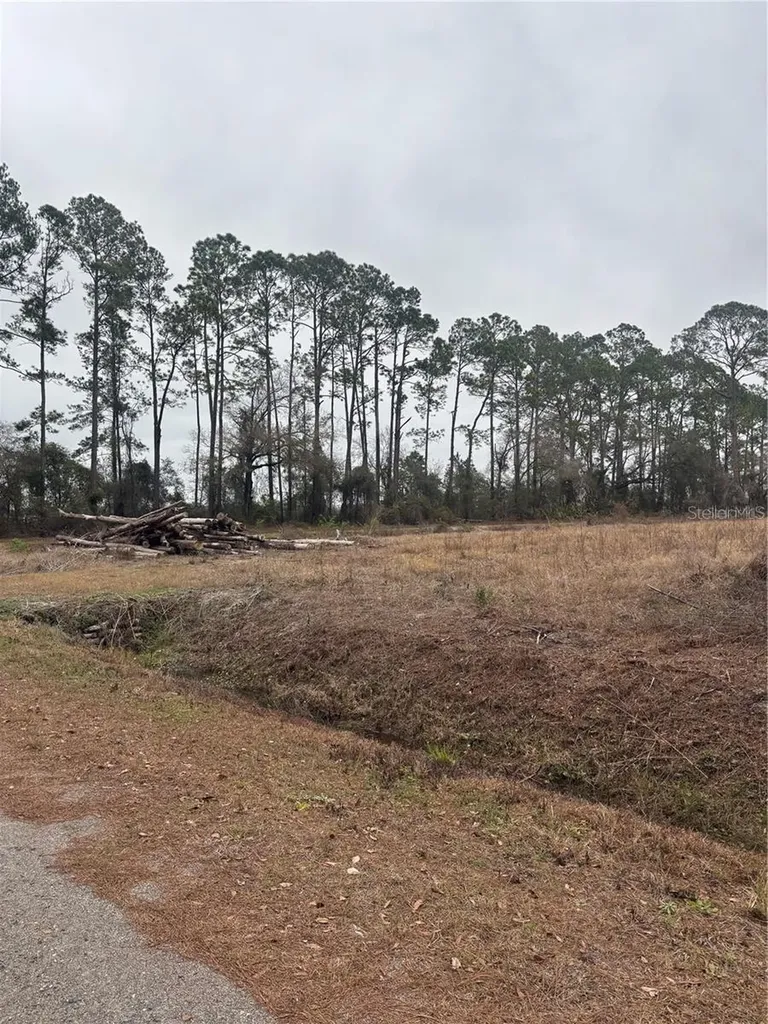 9600 Light Avenue Hastings FL 32145