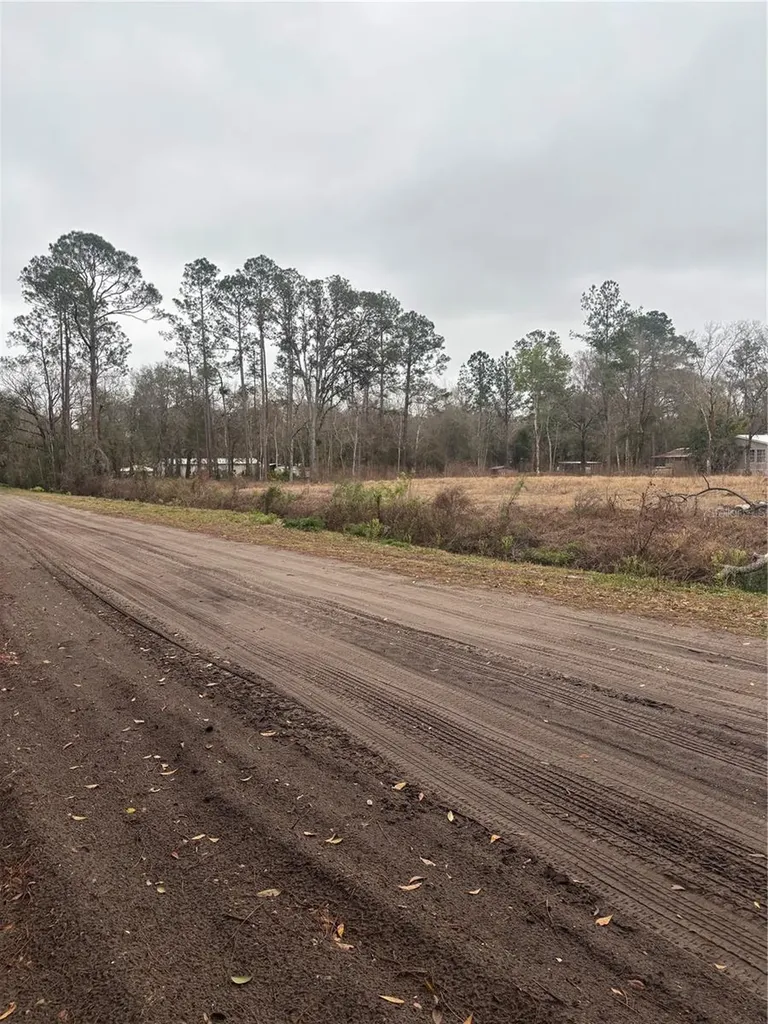 9600 Light Avenue Hastings FL 32145
