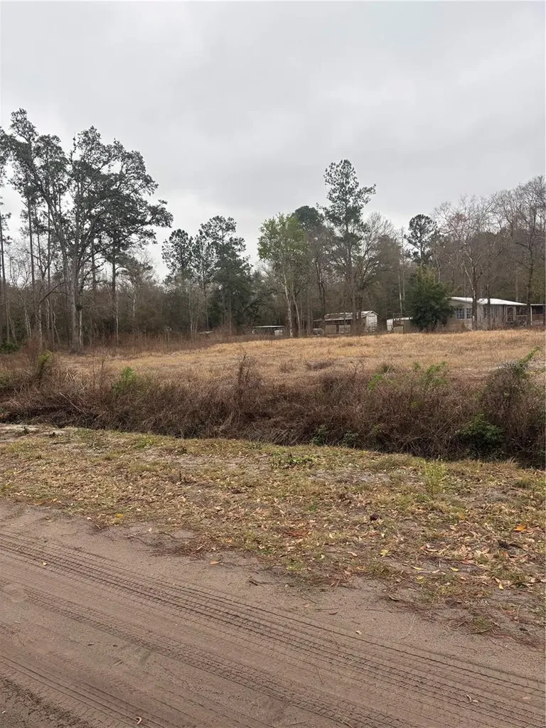 9600 Light Avenue Hastings FL 32145
