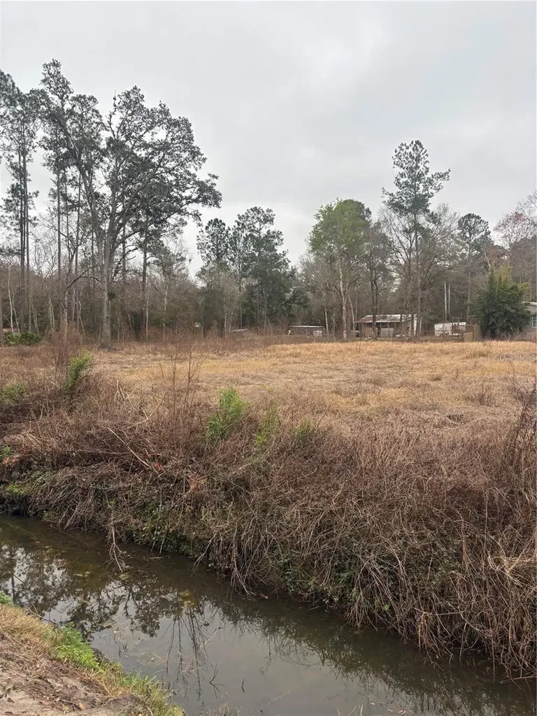 9600 Light Avenue Hastings FL 32145
