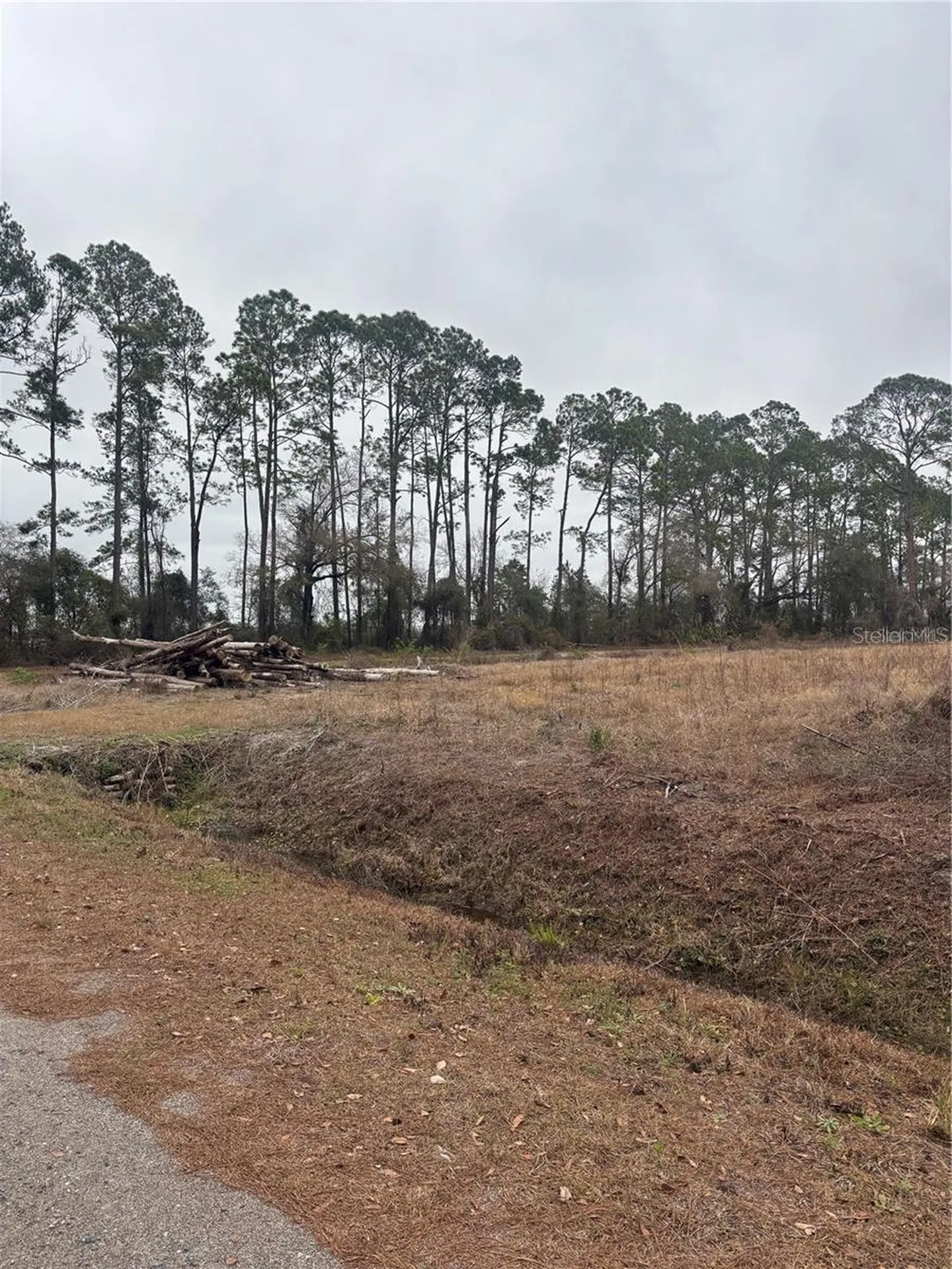 9600 Light Avenue Hastings FL 32145