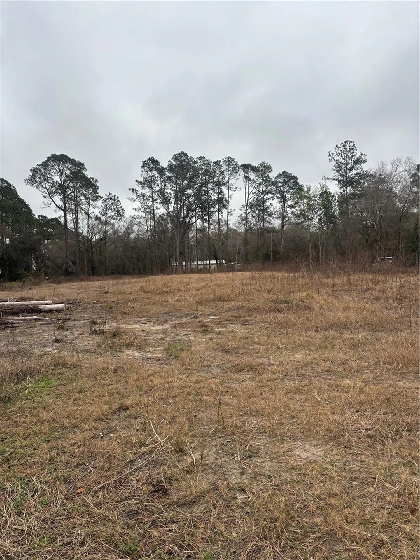 9600 Light Avenue Hastings FL 32145
