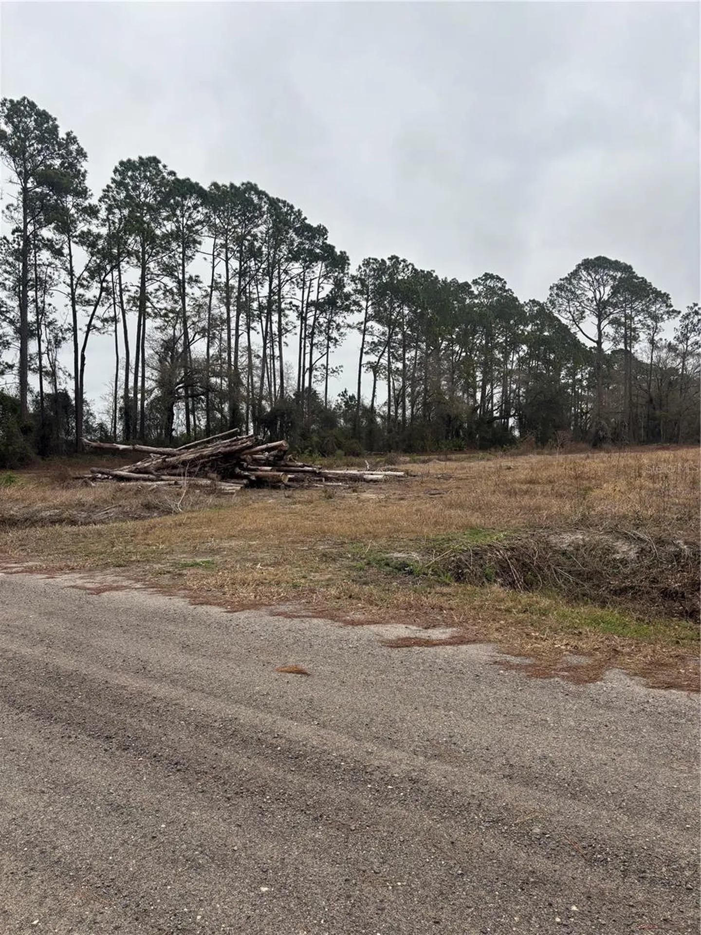 9600 Light Avenue Hastings FL 32145