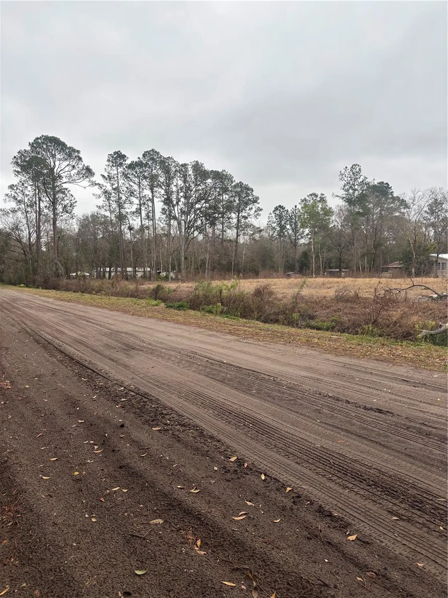 9600 Light Avenue Hastings FL 32145