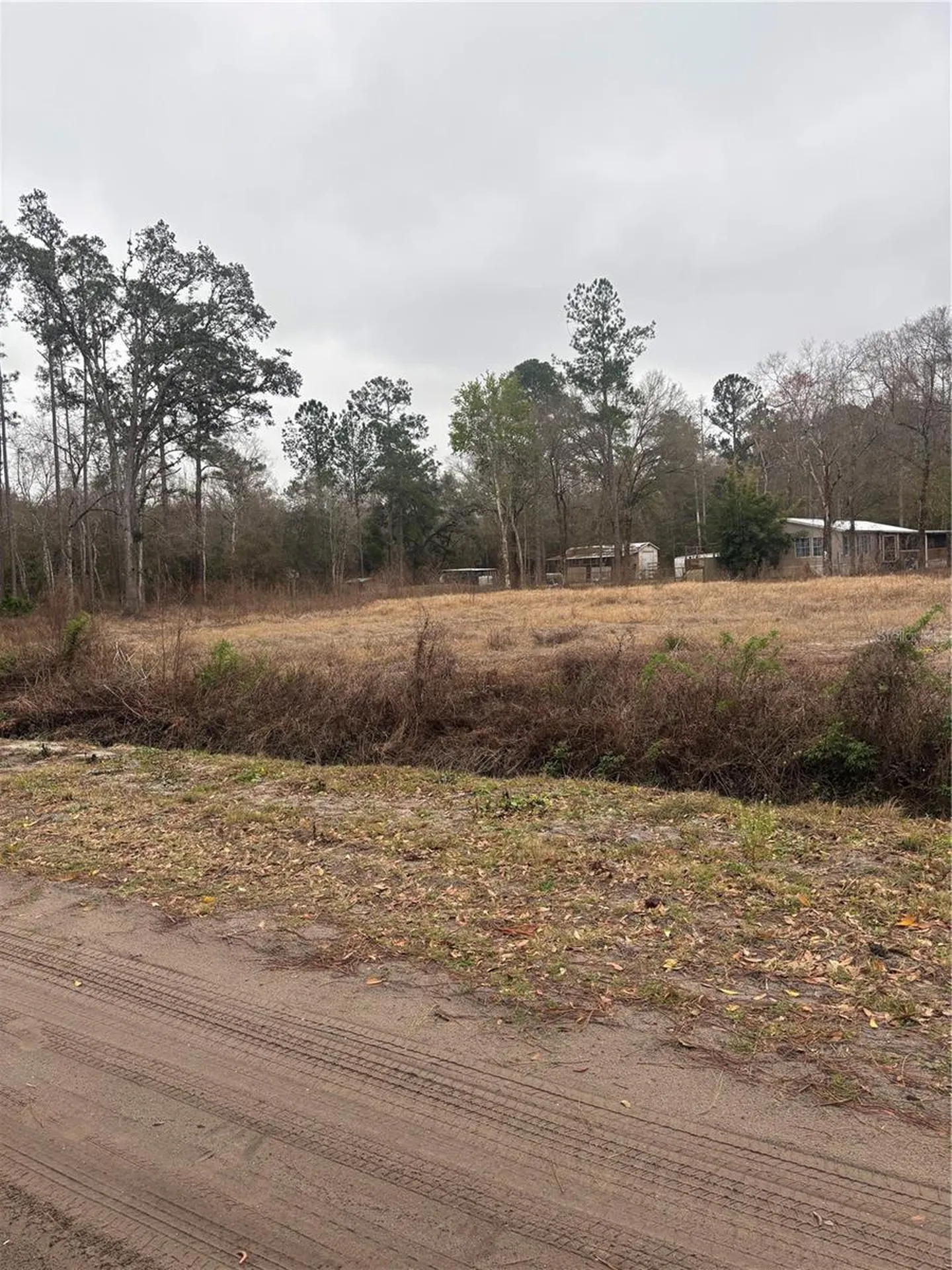 9600 Light Avenue Hastings FL 32145