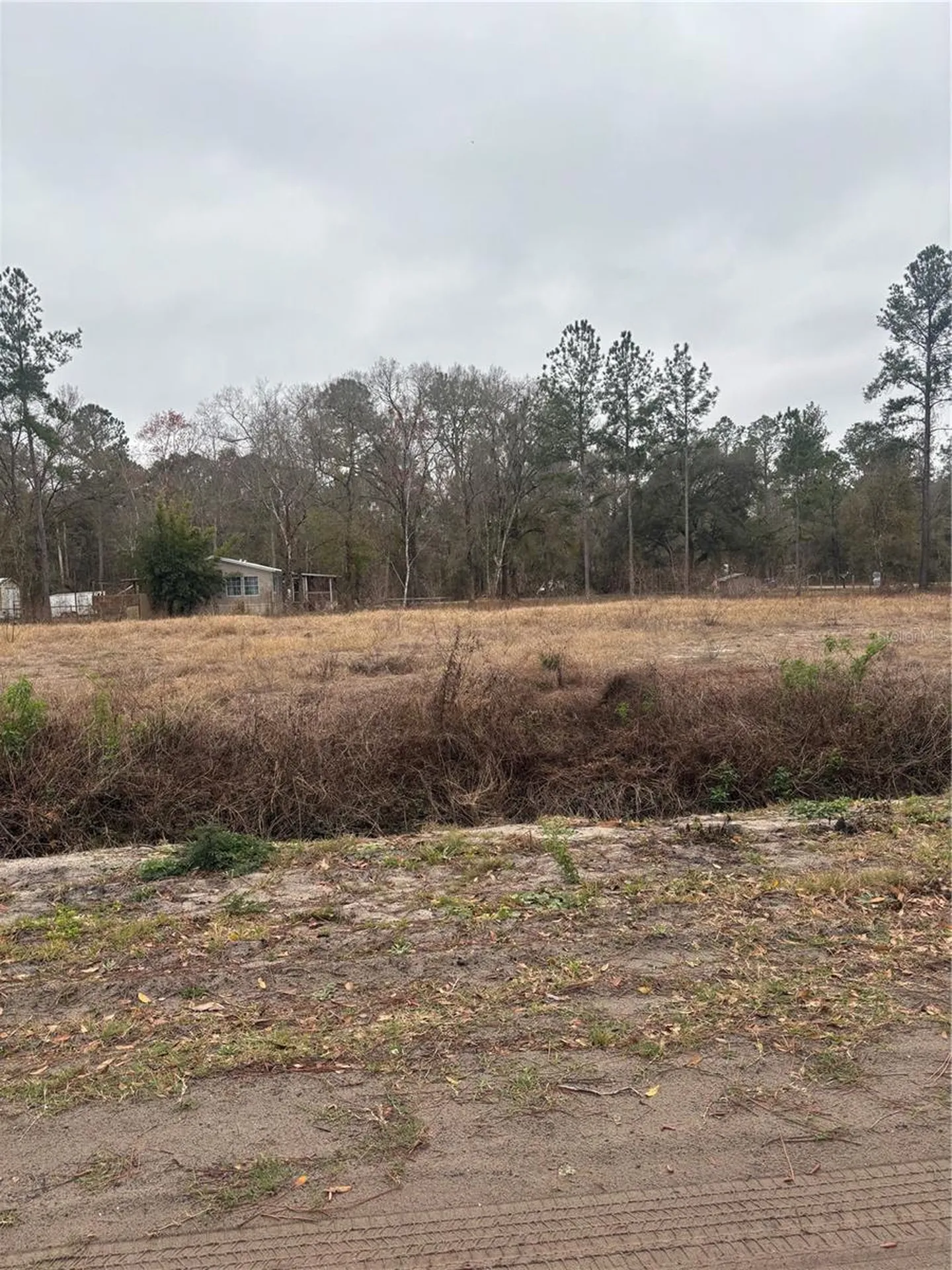 9600 Light Avenue Hastings FL 32145