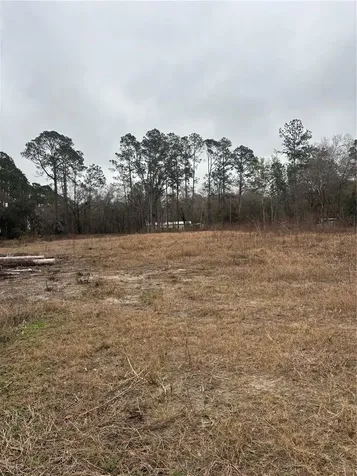 9600 Light Avenue Hastings FL 32145