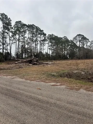 9600 Light Avenue Hastings FL 32145