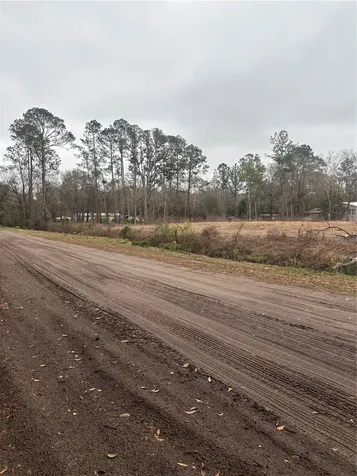9600 Light Avenue Hastings FL 32145