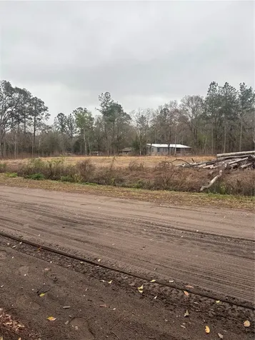 9600 Light Avenue Hastings FL 32145