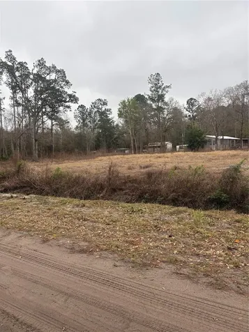 9600 Light Avenue Hastings FL 32145